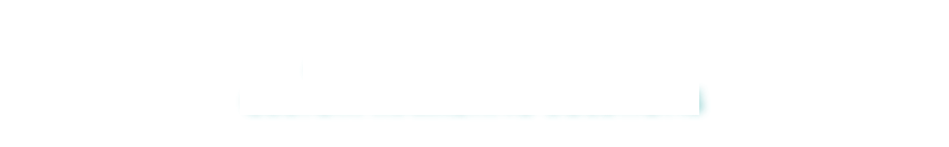 All Flash Media, llc        
organic marketing solutions